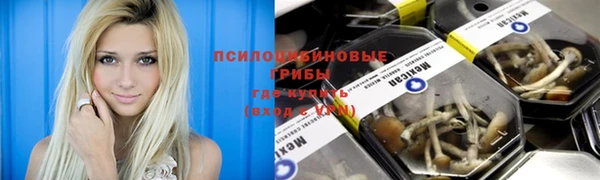 spice Белоозёрский