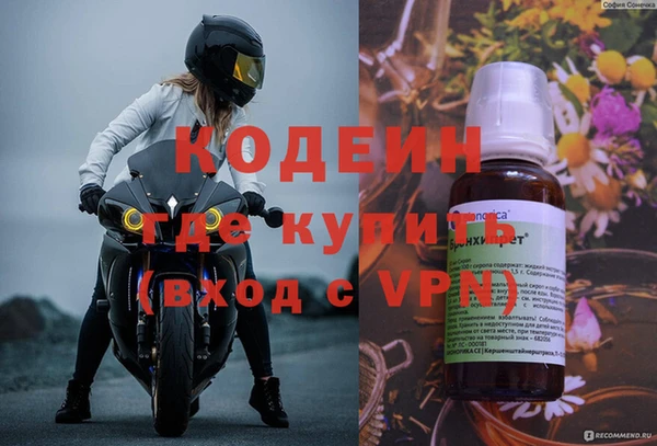 шишки Беломорск