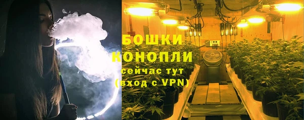 шишки Беломорск