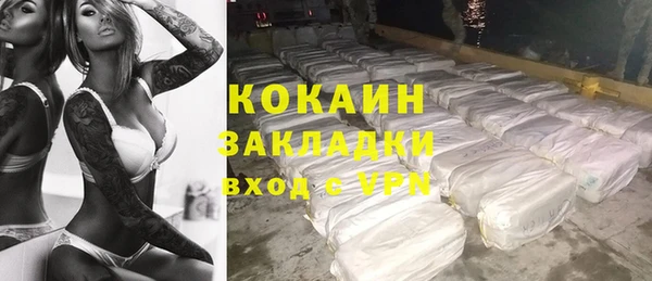 шишки Беломорск