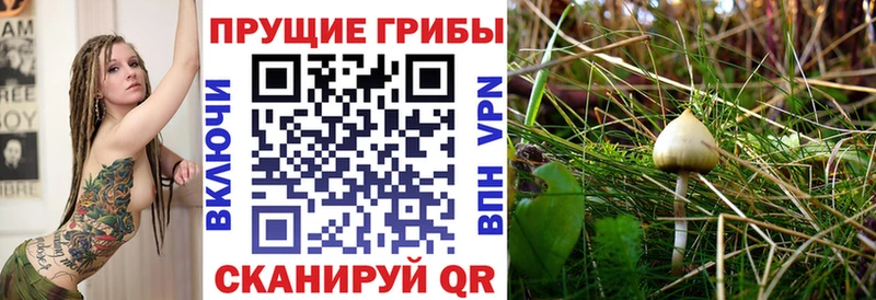 Псилоцибиновые грибы мухоморы  Минеральные Воды 