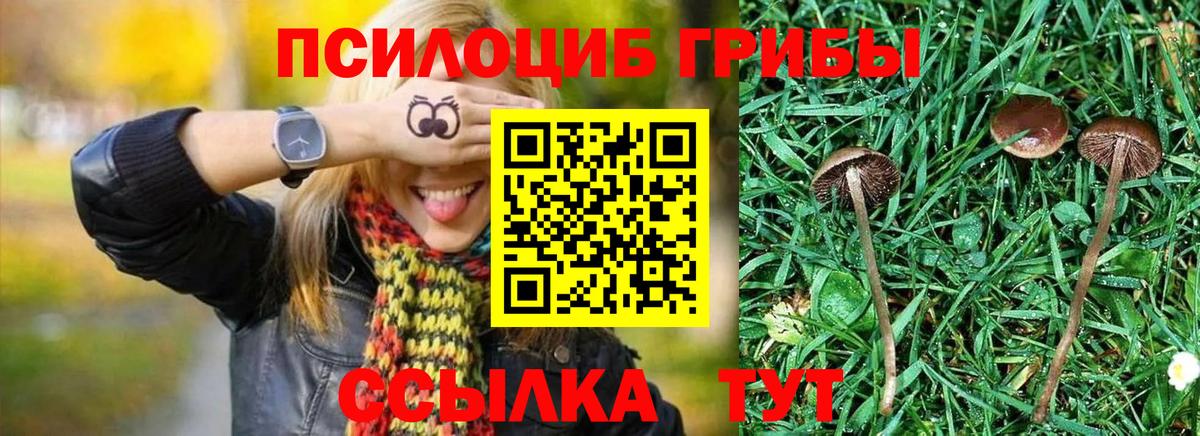 Галлюциногенные грибы Magic Shrooms Минеральные Воды