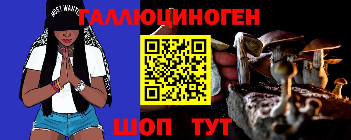 Галлюциногенные грибы Psilocybine cubensis  где купить наркоту  Минеральные Воды  Вход с VPN  Галлюциногенные грибы прущие грибы 