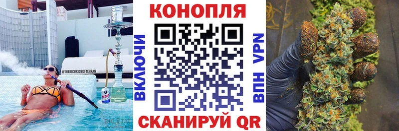 как найти закладки  Минеральные Воды  Шишки марихуана план 